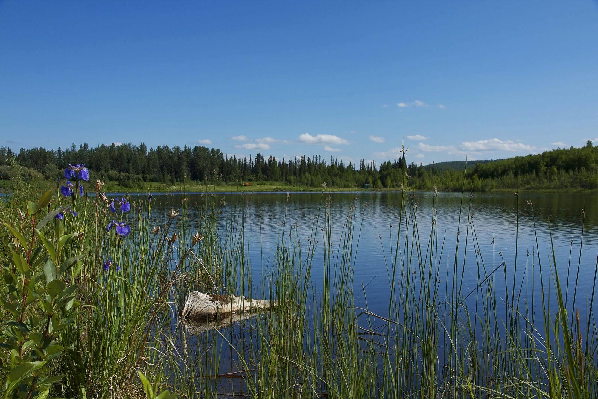 Wedgewood Resort Fairbanks Buitenkant foto